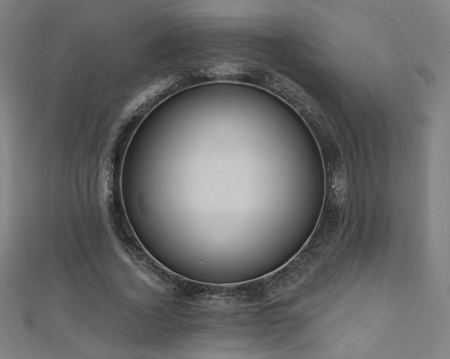 X0000112520732200908171354