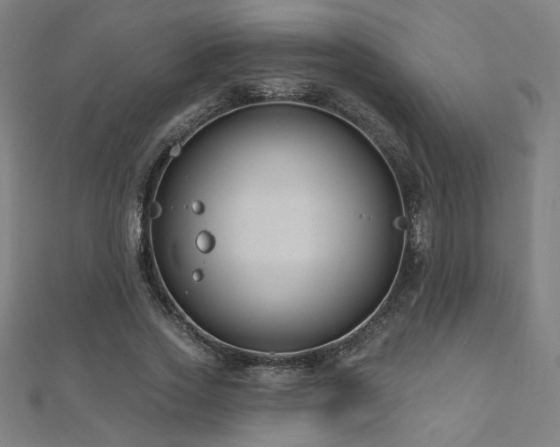 X0000112520733200908171354