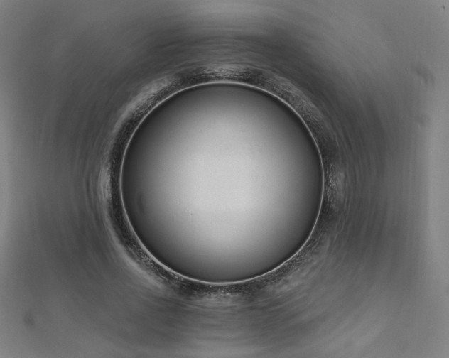 X0000112520734200908171354