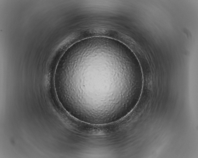 X0000112520735200908171354