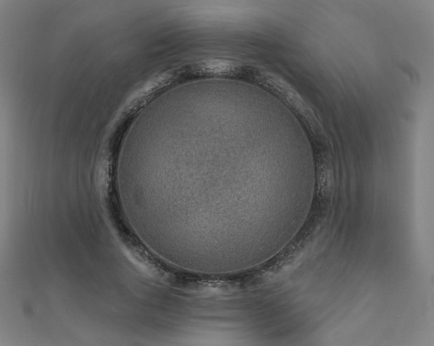 X0000112520736200908171354