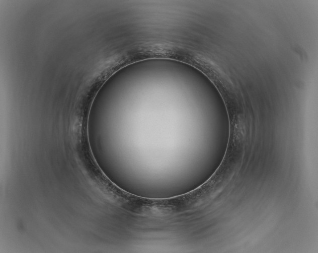 X0000112520739200908171354