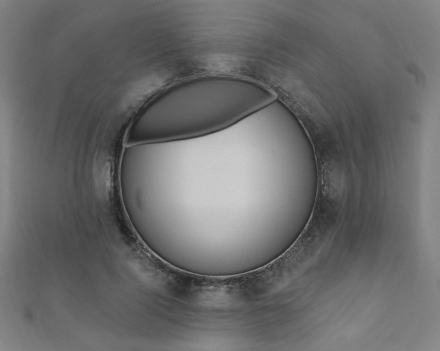 X0000112520740200908171354