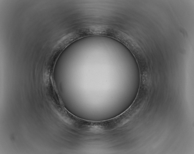 X0000112520741200908171354