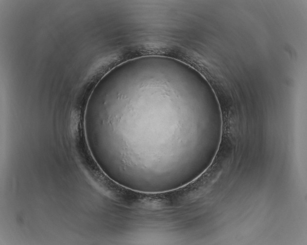 X0000112520742200908171354