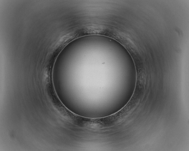X0000112520743200908171354