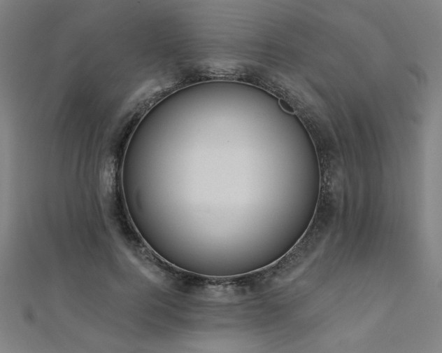X0000112520744200908171354