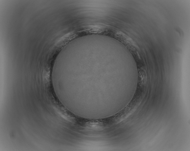 X0000112520745200908171354