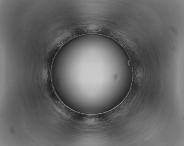 X0000112520746200908171354