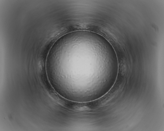 X0000112520747200908171354