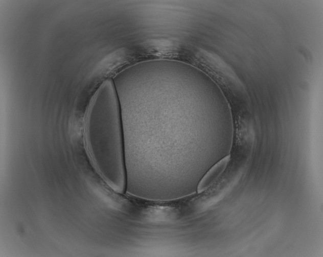 X0000112520748200908171354