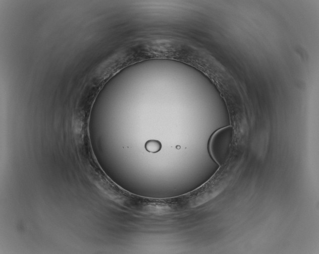 X0000112520749200908171354