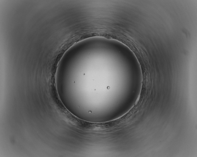 X0000112520750200908171354