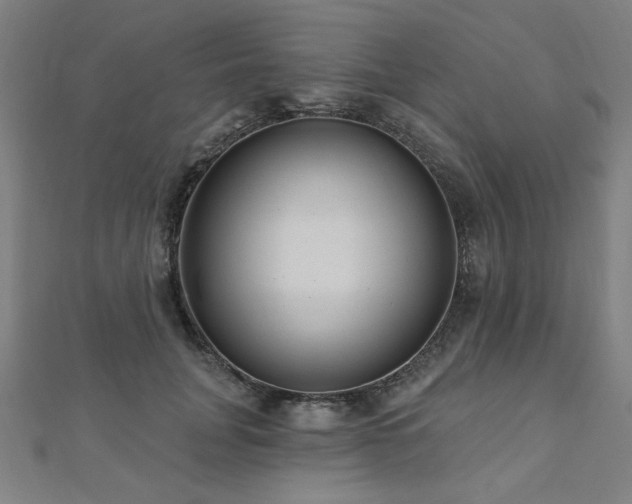 X0000112520751200908171354