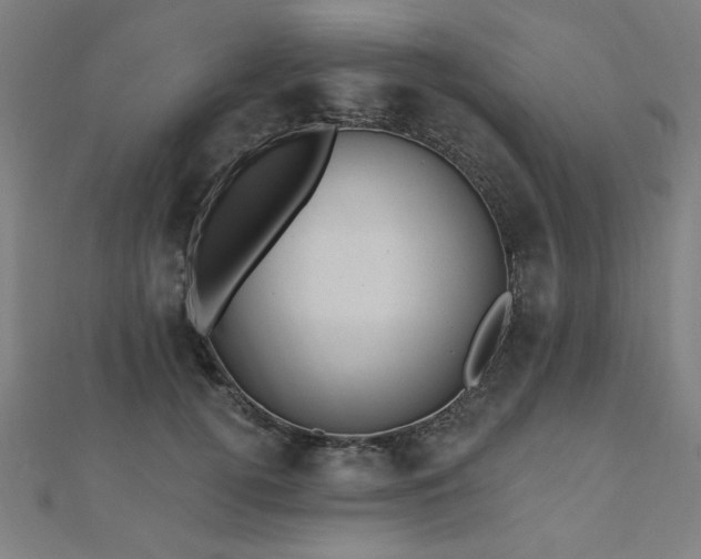 X0000112520752200908171354