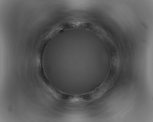 X0000112520754200908171354