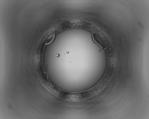 X0000112520756200908171354