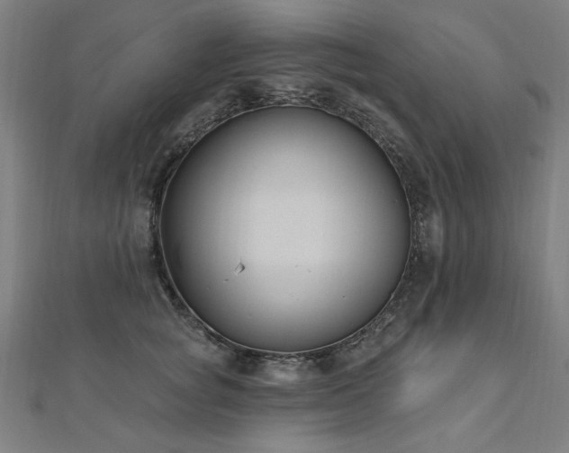 X0000112520757200908171354