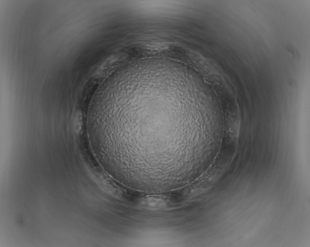 X0000112520758200908171354