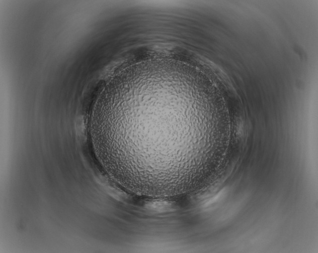 X0000112520759200908171354