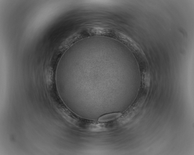 X0000112520760200908171354