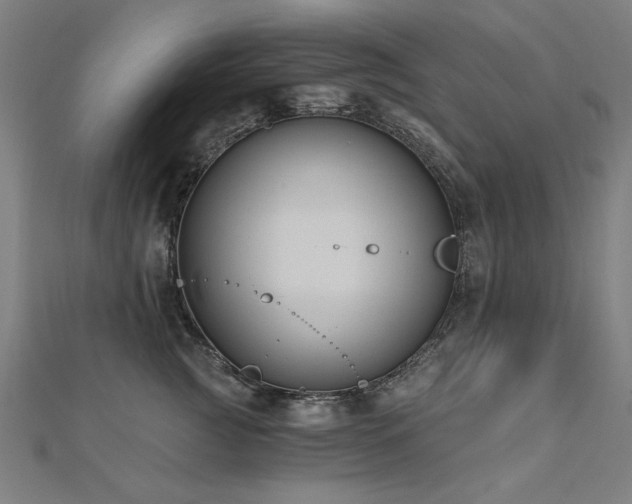 X0000112520761200908171354