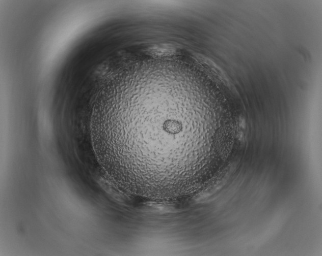 X0000112520763200908171354