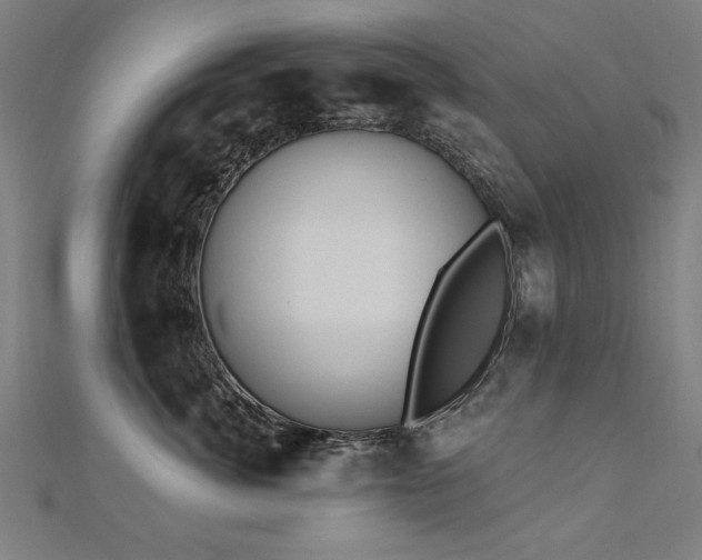 X0000112520764200908171354