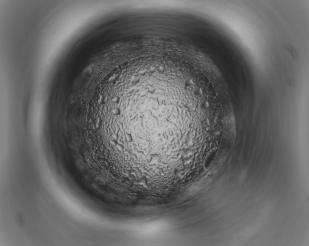 X0000112520765200908171354
