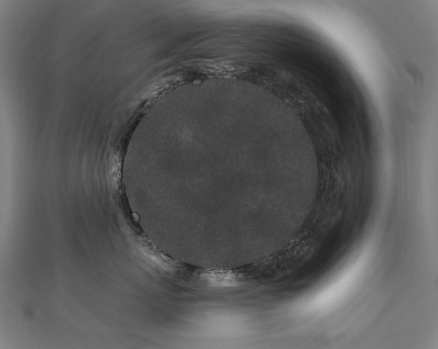 X0000112520767200908171354