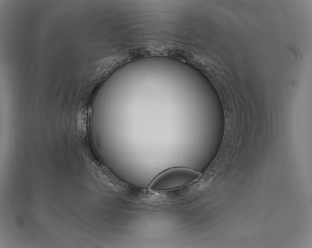 X0000112520768200908171354
