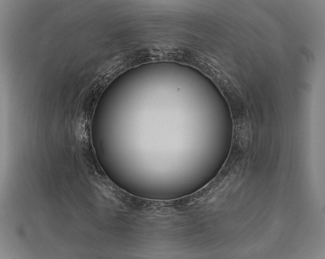 X0000112520770200908171354