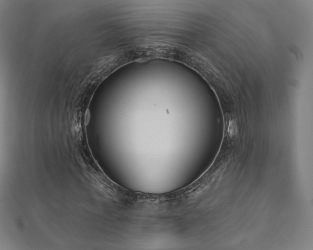 X0000112520771200908171354