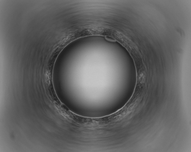 X0000112520772200908171354