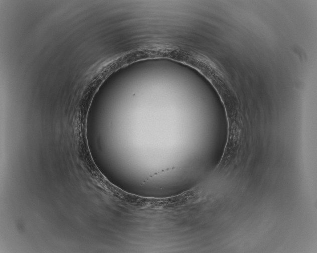 X0000112520773200908171354