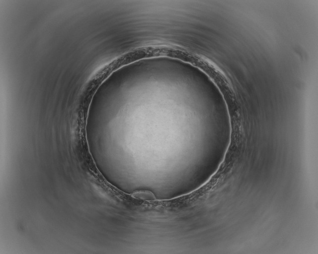 X0000112520775200908171354