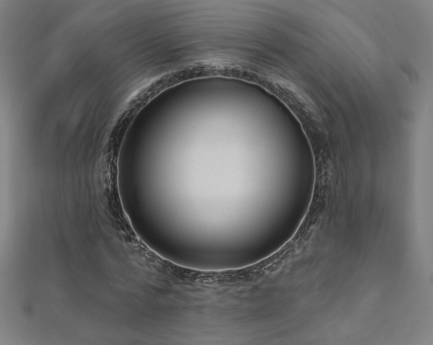 X0000112520776200908171354