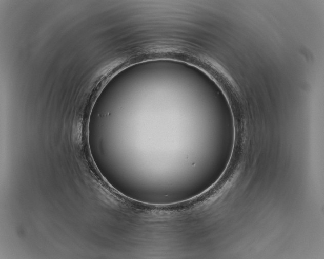 X0000112520777200908171354