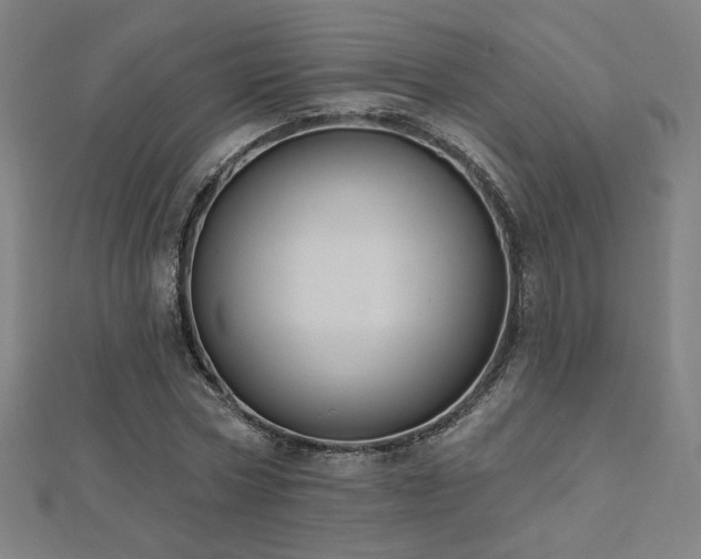 X0000112520778200908171354