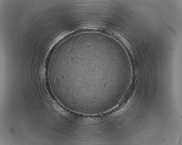 X0000112520779200908171354