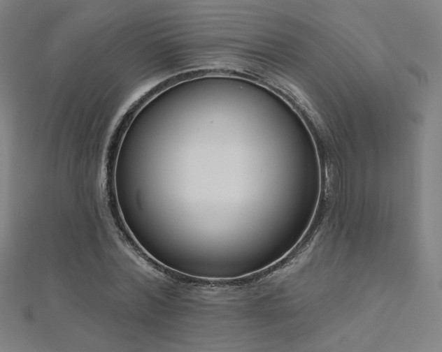 X0000112520780200908171354