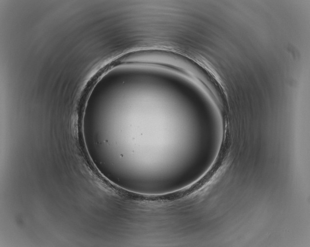 X0000112520781200908171354