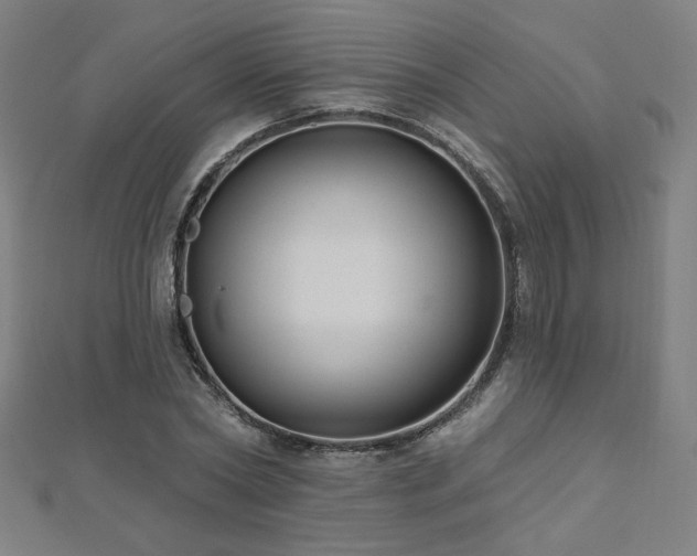 X0000112520782200908171353