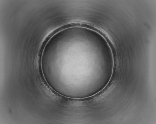 X0000112520783200908171353