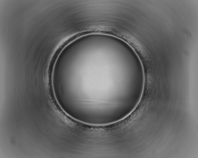 X0000112520784200908171353