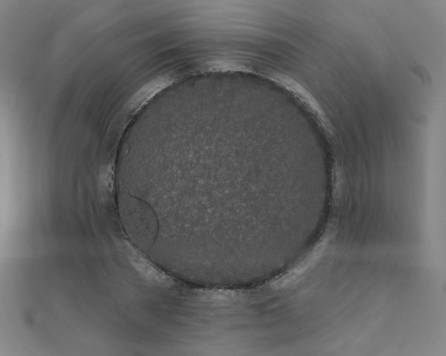 X0000112520785200908171353