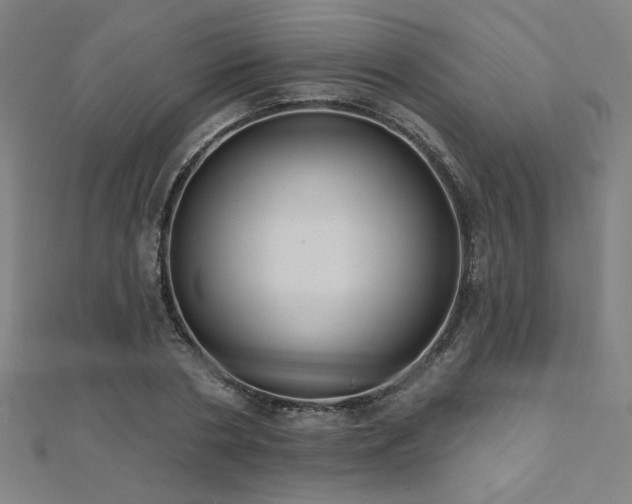 X0000112520786200908171353