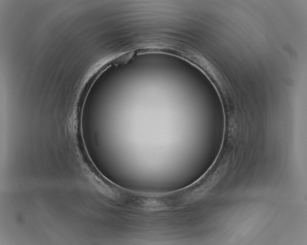 X0000112520787200908171353