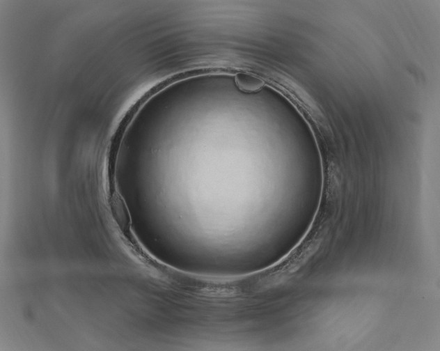 X0000112520788200908171353