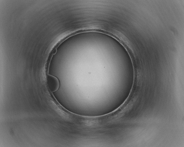 X0000112520789200908171353